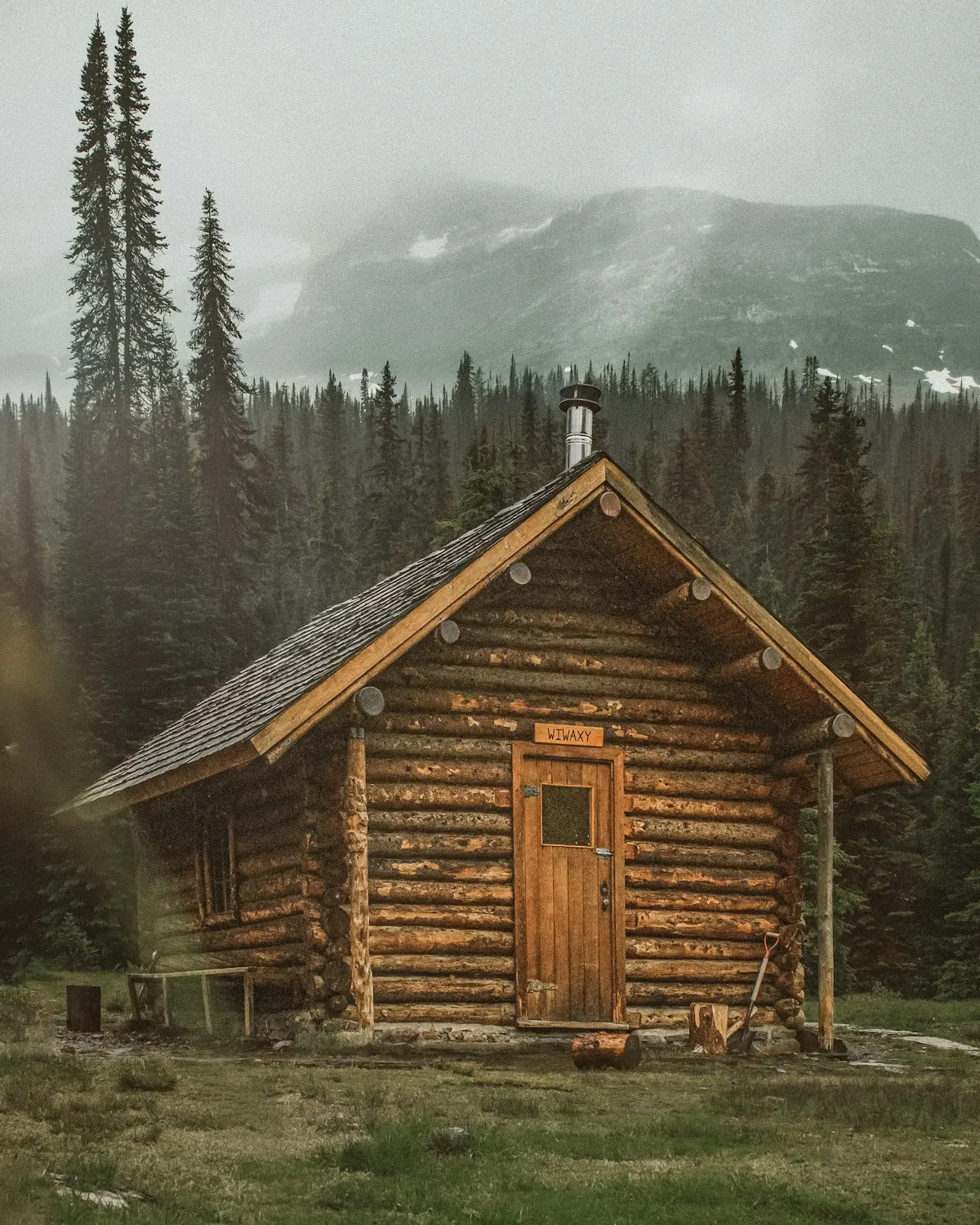 The fir-wood cabin at the edge of the pine forest